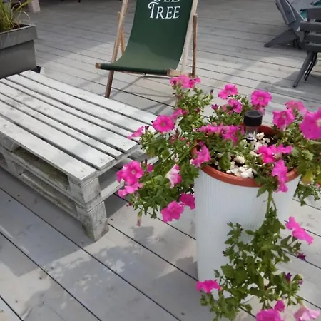 Old Tree Village & Restaurant * Освенцим